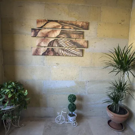 Cappadocia Elite Stone House 格雷梅